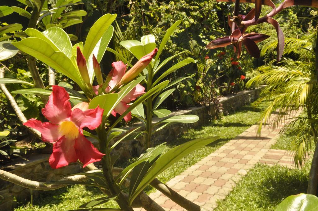 Green Villa Unawatuna Bagian luar foto